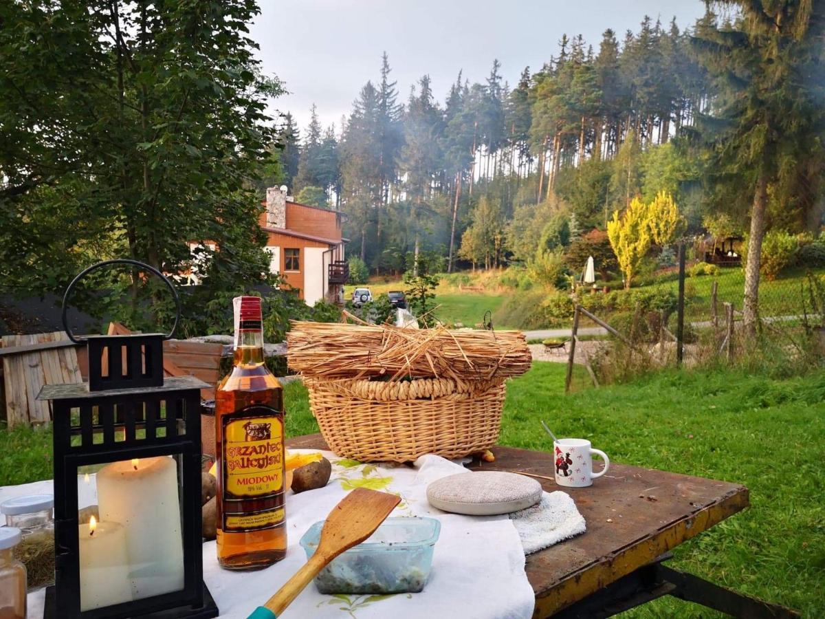 Agroturystyka " Zabi Dolek " Villa Duszniki Zdrój Exterior foto