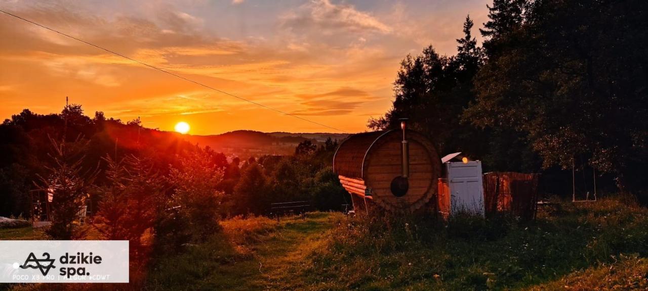 Agroturystyka " Zabi Dolek " Villa Duszniki Zdrój Exterior foto